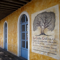 La Ceiba Grafica, Coatepec, Veracruz, MEXICO