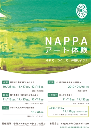 [ NAPPA flier design - 2018 ]